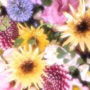 ヒメ日記 2025/09/09 16:13 投稿 ひまり CLUB DEEP 博多