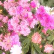 ヒメ日記 2025/09/12 09:43 投稿 ひまり CLUB DEEP 博多