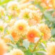 ヒメ日記 2025/10/01 20:13 投稿 ひまり CLUB DEEP 博多