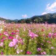 ヒメ日記 2025/10/29 16:33 投稿 ひまり CLUB DEEP 博多