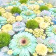 ヒメ日記 2025/11/20 16:53 投稿 ひまり CLUB DEEP 博多