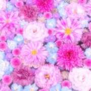 ひまり 🌸AFプレイ CLUB DEEP 博多