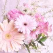 ヒメ日記 2025/12/06 15:53 投稿 ひまり CLUB DEEP 博多