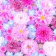 ヒメ日記 2025/12/27 21:13 投稿 ひまり CLUB DEEP 博多