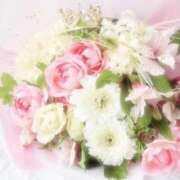 ヒメ日記 2026/01/20 12:23 投稿 ひまり CLUB DEEP 博多