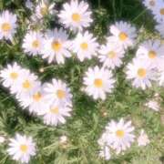 ヒメ日記 2026/01/27 22:15 投稿 ひまり CLUB DEEP 博多