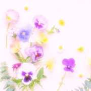 ヒメ日記 2026/01/31 10:43 投稿 ひまり CLUB DEEP 博多