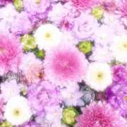 ヒメ日記 2026/02/07 15:13 投稿 ひまり CLUB DEEP 博多