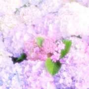 ヒメ日記 2026/06/16 11:45 投稿 ひまり CLUB DEEP 博多
