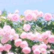 ヒメ日記 2026/06/16 12:03 投稿 ひまり CLUB DEEP 博多