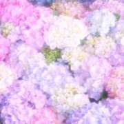 ヒメ日記 2026/06/23 12:43 投稿 ひまり CLUB DEEP 博多