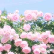 ヒメ日記 2026/07/14 18:53 投稿 ひまり CLUB DEEP 博多