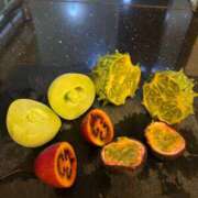 ヒメ日記 2026/02/08 17:06 投稿 いちか☆顔出し動画OP可能☆ 京都Jewel