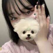 ヒメ日記 2025/09/19 23:15 投稿 みゆ スピード難波店