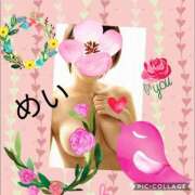 ヒメ日記 2025/08/12 17:38 投稿 めい 最高級 エロエロ奥様 成田店