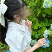 ヒメ日記 2025/07/06 07:42 投稿 春成桜桃 皇帝別館（こうていべっかん）