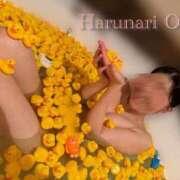 ヒメ日記 2025/07/06 10:46 投稿 春成桜桃 皇帝別館（こうていべっかん）