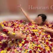 ヒメ日記 2025/07/06 13:46 投稿 春成桜桃 皇帝別館（こうていべっかん）