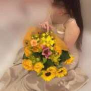 ヒメ日記 2025/07/24 17:31 投稿 春成桜桃 皇帝別館（こうていべっかん）