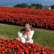 ヒメ日記 2025/08/20 10:46 投稿 春成桜桃 皇帝別館（こうていべっかん）