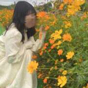 ヒメ日記 2025/10/30 10:21 投稿 春成桜桃 皇帝別館（こうていべっかん）