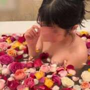 ヒメ日記 2025/11/21 11:16 投稿 春成桜桃 皇帝別館（こうていべっかん）