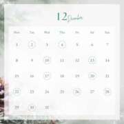 春成桜桃 【12月の予定🎄】 皇帝別館（こうていべっかん）