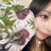 ヒメ日記 2025/07/27 23:02 投稿 かぐや【変態CAのエロ責め】 STELLA TOKYO－ステラトウキョウ－