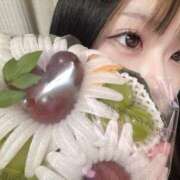 ヒメ日記 2025/08/08 23:49 投稿 かぐや【変態CAのエロ責め】 STELLA TOKYO－ステラトウキョウ－