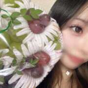 ヒメ日記 2026/02/22 21:11 投稿 かぐや【変態CAのエロ責め】 STELLA TOKYO－ステラトウキョウ－