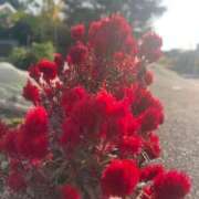 ヒメ日記 2025/11/20 19:46 投稿 工藤 蘭 人妻の雫 倉敷店