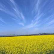 ヒメ日記 2026/04/15 19:56 投稿 工藤 蘭 人妻の雫 倉敷店