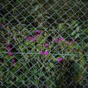 ヒメ日記 2025/10/22 01:51 投稿 あまみ ドMバスターズ 京都店