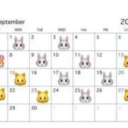 ヒメ日記 2025/08/28 15:50 投稿 ねね 密着指導！バカンス学園 尼崎校