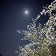 ヒメ日記 2025/07/02 21:04 投稿 川村さくら 禁断のメンズエステR-18堺・南大阪店