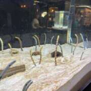 川村さくら たいきんー 禁断のメンズエステR-18堺・南大阪店