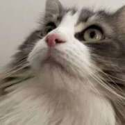 ななみ 本日も 越谷発デリヘル 生イキッ娘！