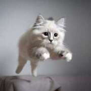 ななみ (  ¯¯ )ᐝ 越谷発デリヘル 生イキッ娘！