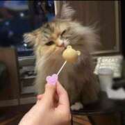 ヒメ日記 2025/07/11 15:00 投稿 中村ひかる MIRAI TOKYO 新宿店