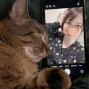 ヒメ日記 2025/07/28 00:50 投稿 愛川柚羽(あいかわゆずは) 鶯谷ナンバーワン