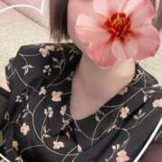 ヒメ日記 2025/07/30 11:50 投稿 愛川柚羽(あいかわゆずは) 鶯谷ナンバーワン