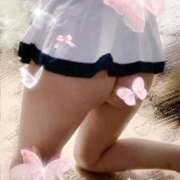 ヒメ日記 2025/10/01 13:33 投稿 愛川柚羽(あいかわゆずは) 鶯谷ナンバーワン