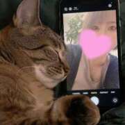 ヒメ日記 2025/11/01 12:50 投稿 愛川柚羽(あいかわゆずは) 鶯谷ナンバーワン