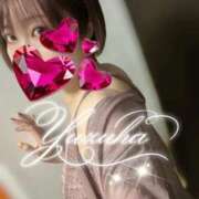 ヒメ日記 2025/11/13 06:30 投稿 愛川柚羽(あいかわゆずは) 鶯谷ナンバーワン