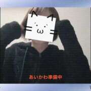 ヒメ日記 2025/11/20 14:00 投稿 愛川柚羽(あいかわゆずは) 鶯谷ナンバーワン