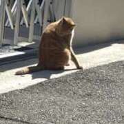 ヒメ日記 2026/01/08 10:17 投稿 なのは スピード日本橋店