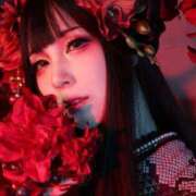 ヒメ日記 2026/02/14 07:18 投稿 南 まひる Canx2京都店