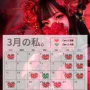 ヒメ日記 2026/02/22 12:07 投稿 南 まひる Canx2京都店