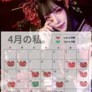 ヒメ日記 2026/03/31 20:07 投稿 南 まひる Canx2京都店