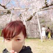 ヒメ日記 2026/04/04 07:17 投稿 南 まひる Canx2京都店